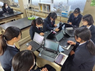 1年普通科URⅠ「論文調査」