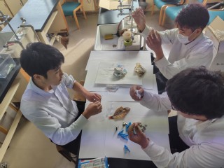 自然科学部生物班「魚の剥製標本づくり」