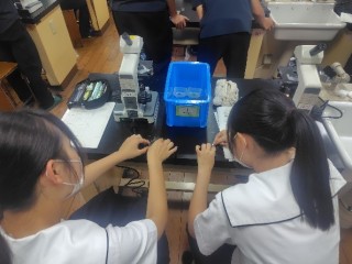 生物基礎　「顕微鏡観察・ミクロメーターの使い方」