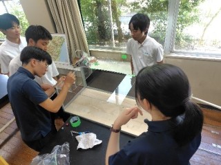 2年ARⅡ活動の様子