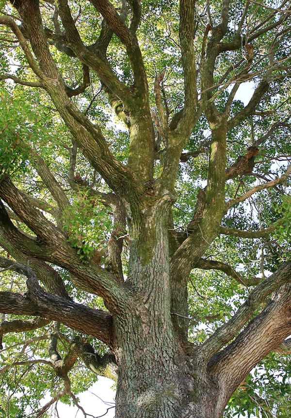 熊本県立北熊本高等学校WEB画像